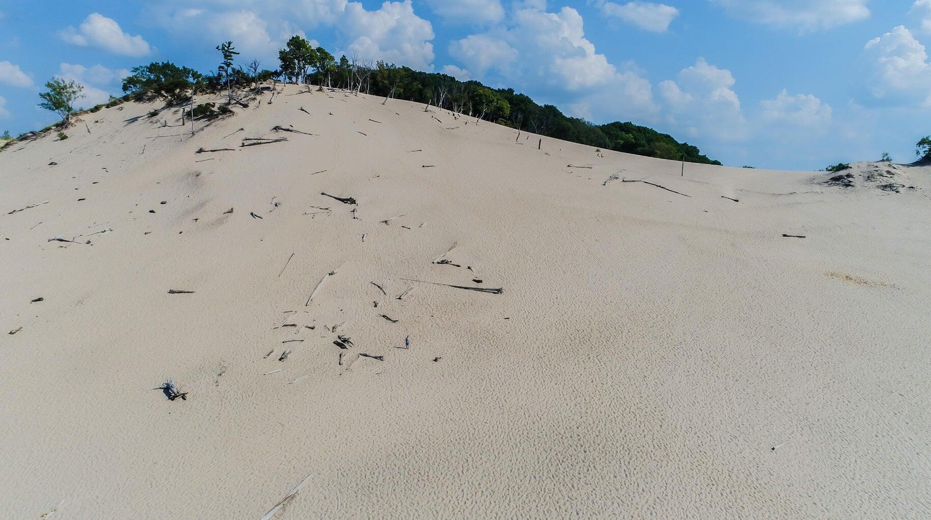 0 Tower Hill Road Sawyer, MI 49125 - Photo 22 of 22 warren dunes 1