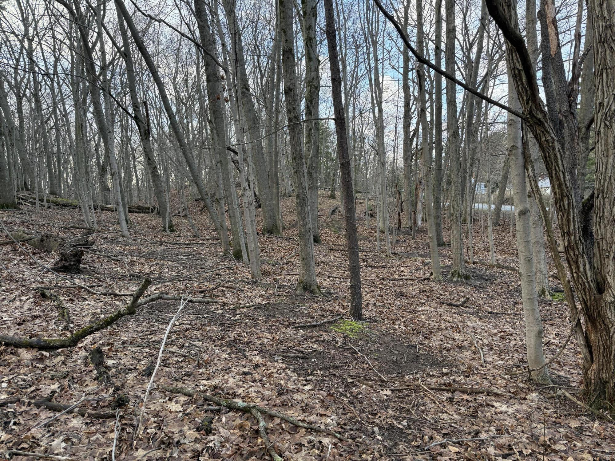 0 Tower Hill Road Sawyer, MI 49125 - Photo 9 of 22 IMG_0588