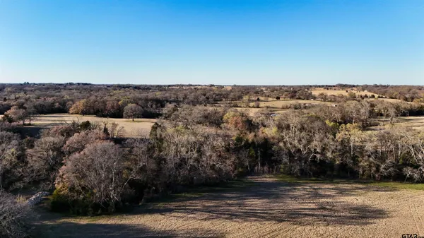 $1,498,750 | 131 Vz Cr, Grand Saline, TX 75140