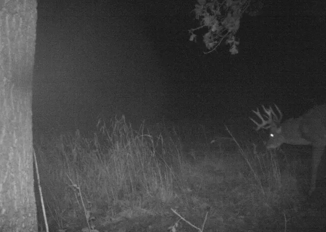 $1,150,000 | 16178 Biba Road, Muscoda, WI 53573