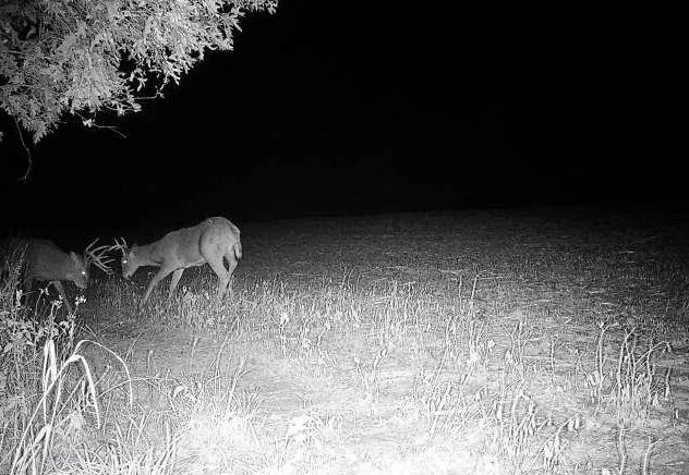 $1,150,000 | 16178 Biba Road, Muscoda, WI 53573