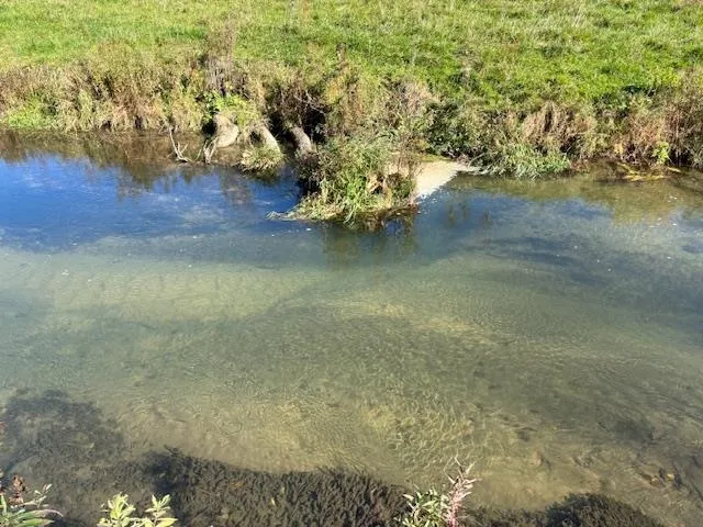 $1,150,000 | 16178 Biba Road, Muscoda, WI 53573