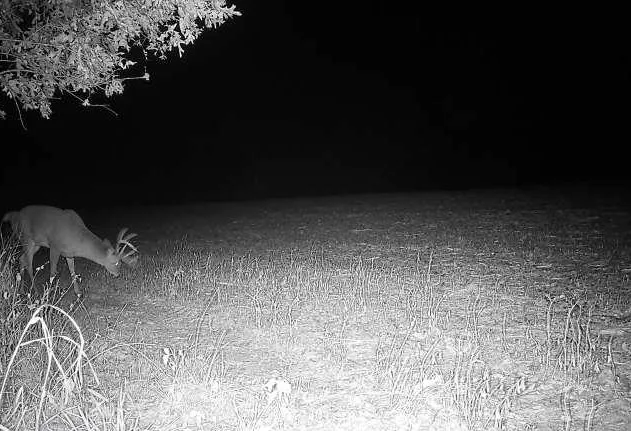 $1,150,000 | 16178 Biba Road, Muscoda, WI 53573