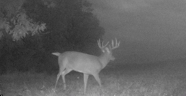 $1,150,000 | 16178 Biba Road, Muscoda, WI 53573