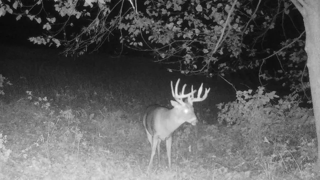 $1,150,000 | 16178 Biba Road, Muscoda, WI 53573