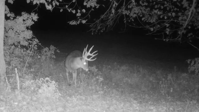 $1,150,000 | 16178 Biba Road, Muscoda, WI 53573