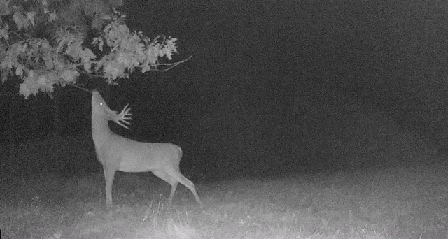 $1,150,000 | 16178 Biba Road, Muscoda, WI 53573