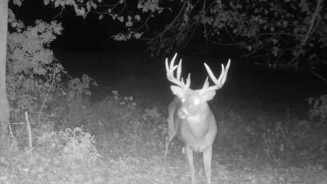 $1,150,000 | 16178 Biba Road, Muscoda, WI 53573