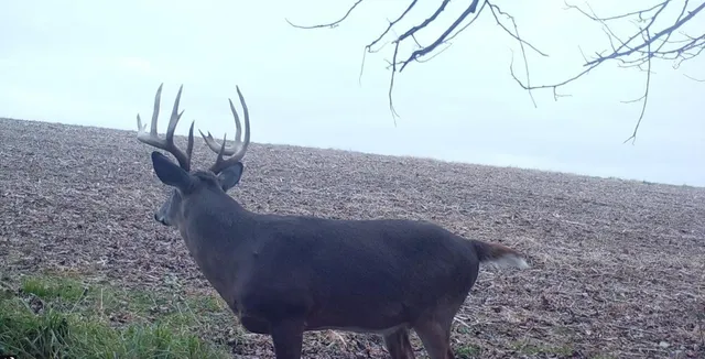 $1,150,000 | 16178 Biba Road, Muscoda, WI 53573