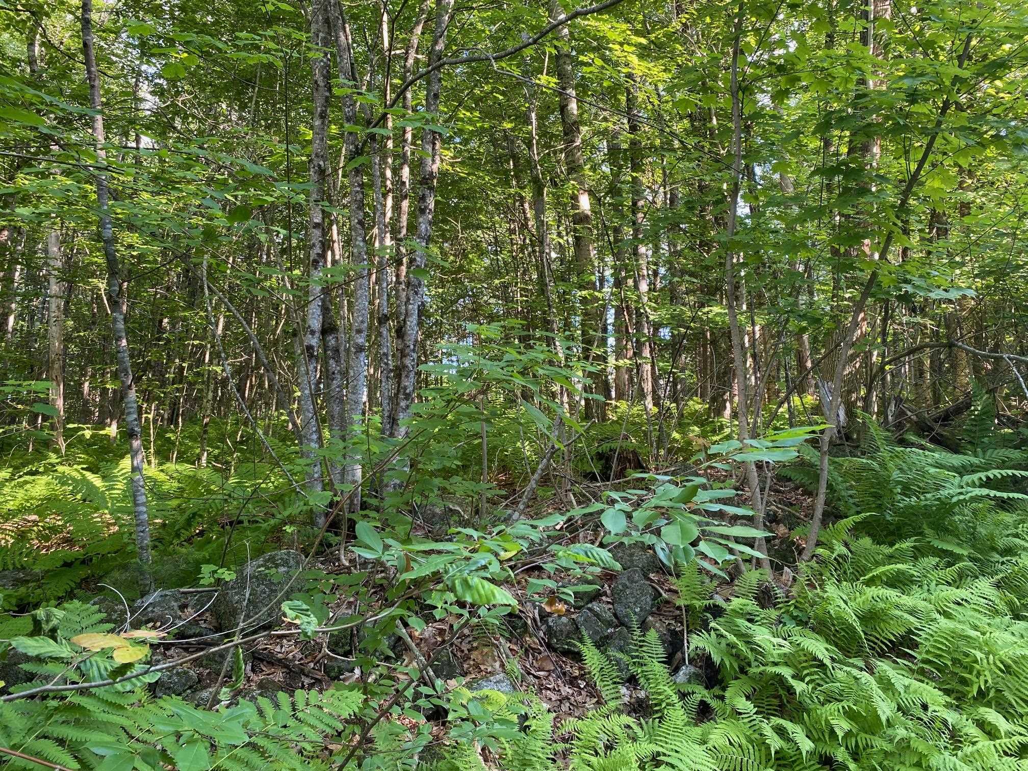 18-3 Mason Road Milton, NH 03851 - Photo 6 of 6