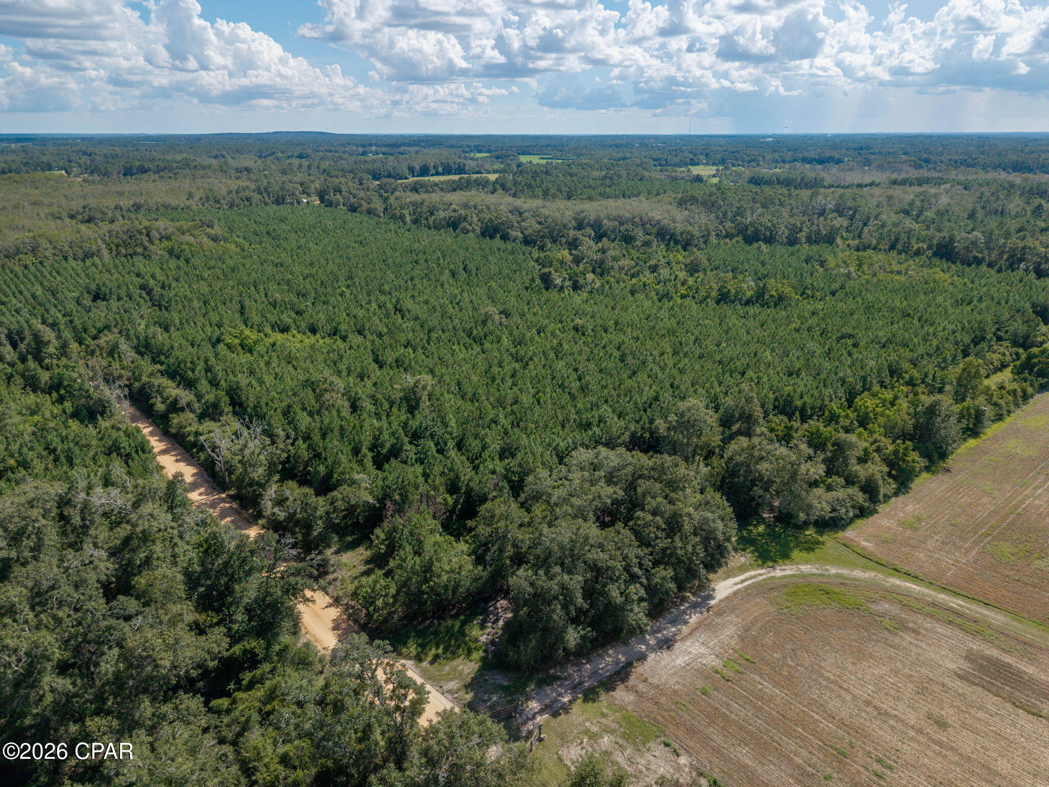 Xxx New Prospect Road Chipley, FL 32428 - Photo 20 of 20 Gallery Image 20