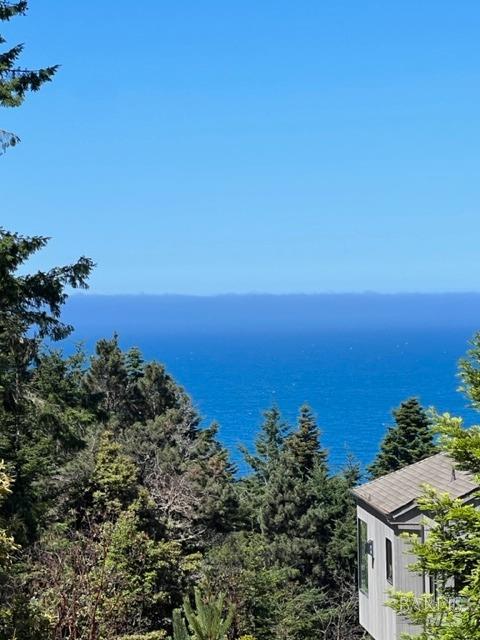 36018 Sea Ridge Road The Sea Ranch, CA 95497 - Photo 10 of 17