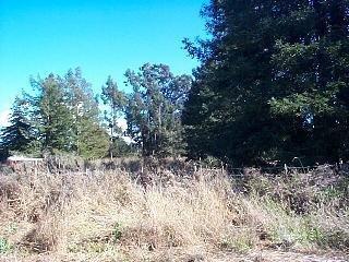 4353 Daywalt Road Sebastopol, CA 95472 - Photo 11 of 11