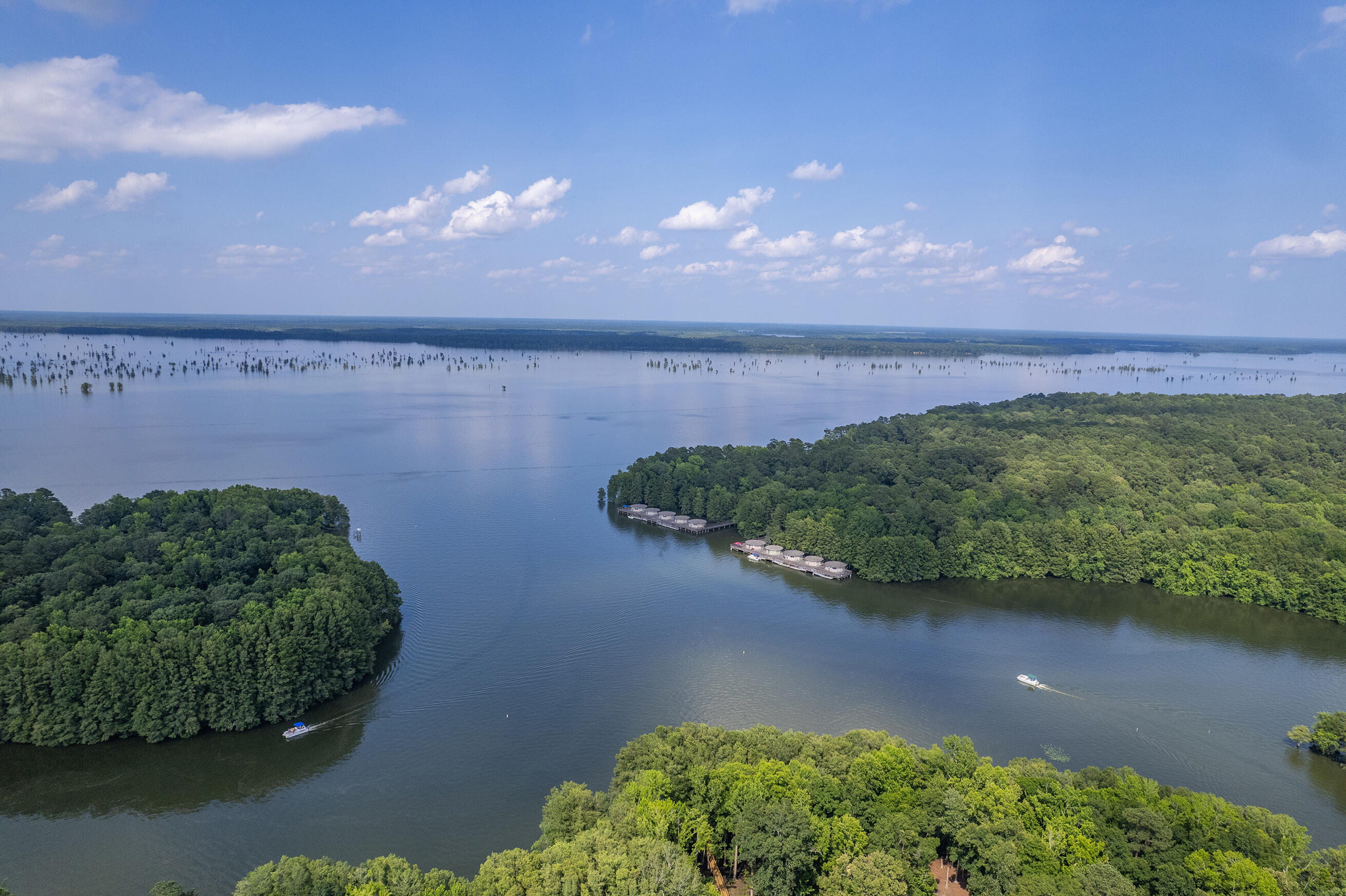 0 Breezewood Court Elloree, SC 29047 - Photo 24 of 28 Zyndicate1608