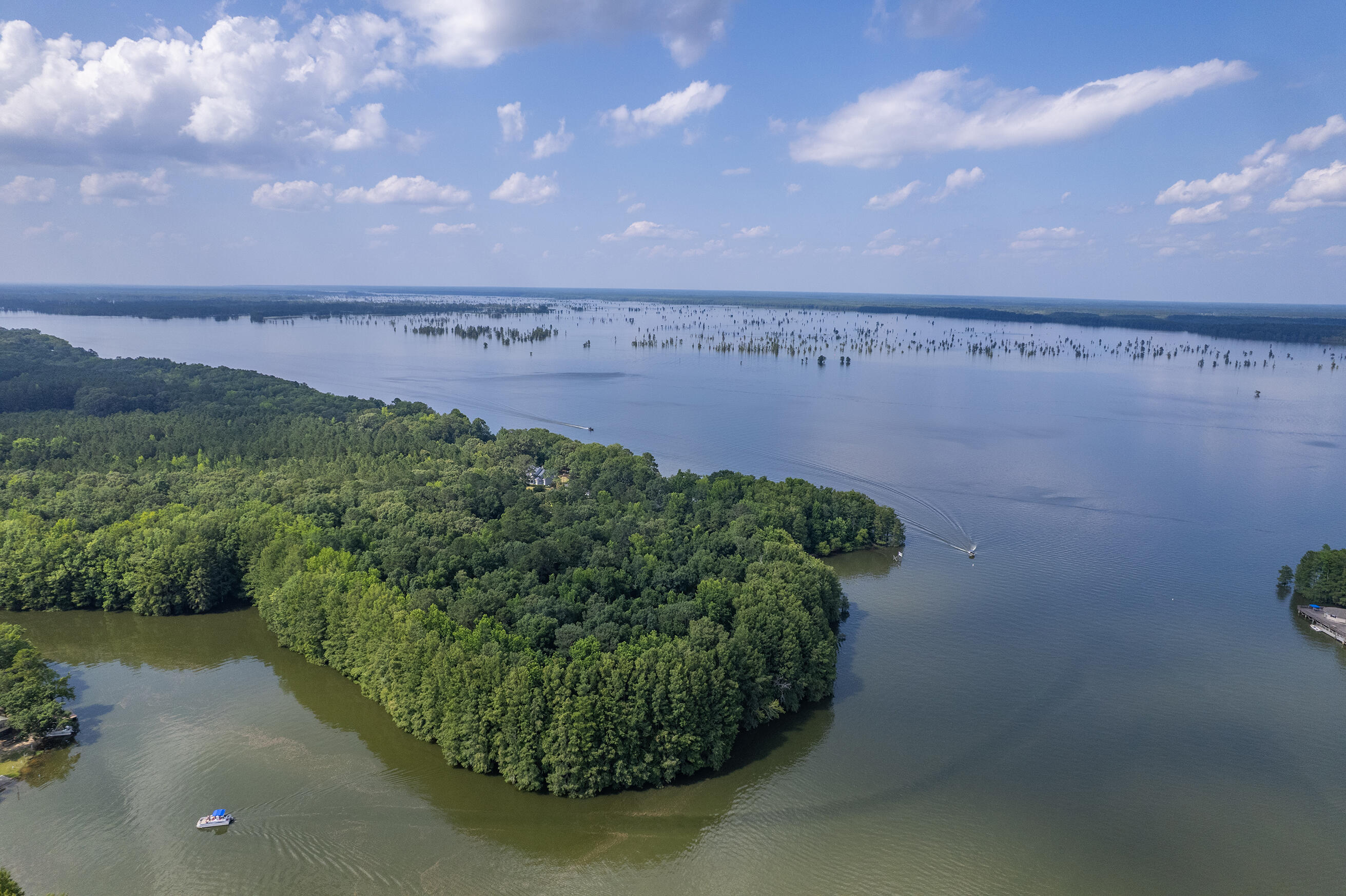 0 Breezewood Court Elloree, SC 29047 - Photo 26 of 28 Zyndicate1610