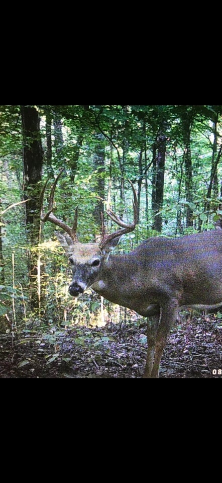 0 McKinley Guffey Road Albany, KY 42602 - Photo 22 of 23 Gallery Image 22