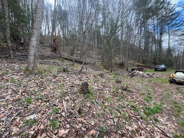 15.01-ac Pine Run Road, Unit 115110A Draper, VA 24324 - Photo 44 of 57 Gallery Image 44