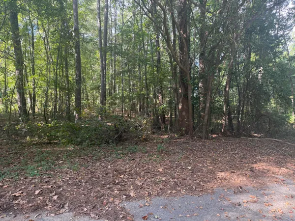 $27,900 | 0 Lynnay Drive, Unit B, Rembert, SC 29128