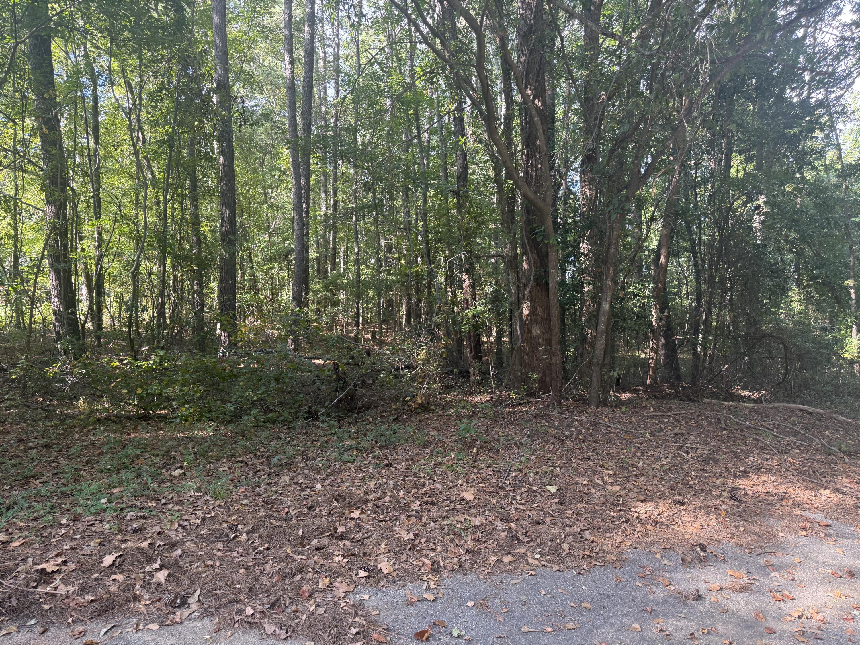 0 Lynnay Drive, Unit B Rembert, SC 29128 - Photo 1 of 6