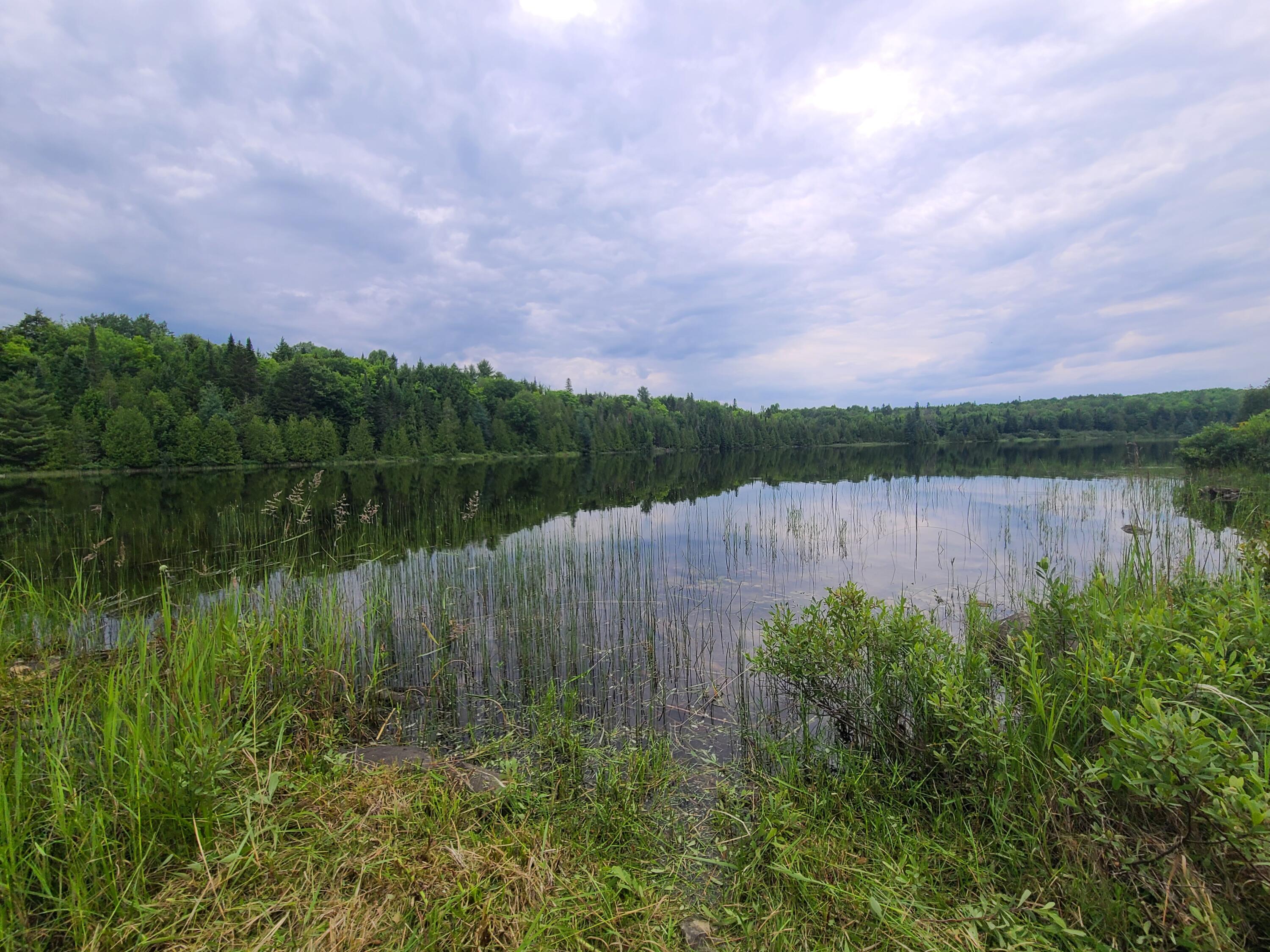 Lot 4-5 Russell Lake Road Houlton, ME 04730 - Photo 5 of 16 20260713_182234
