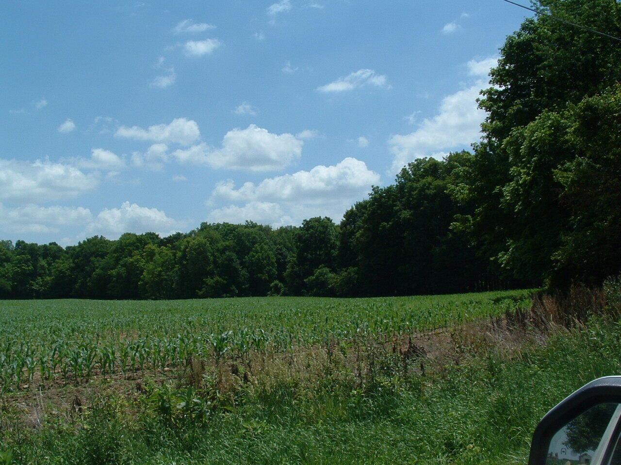 0 Clover Valley Road Northwest Johnstown, OH 43031 - Photo 4 of 16 DSCF0003