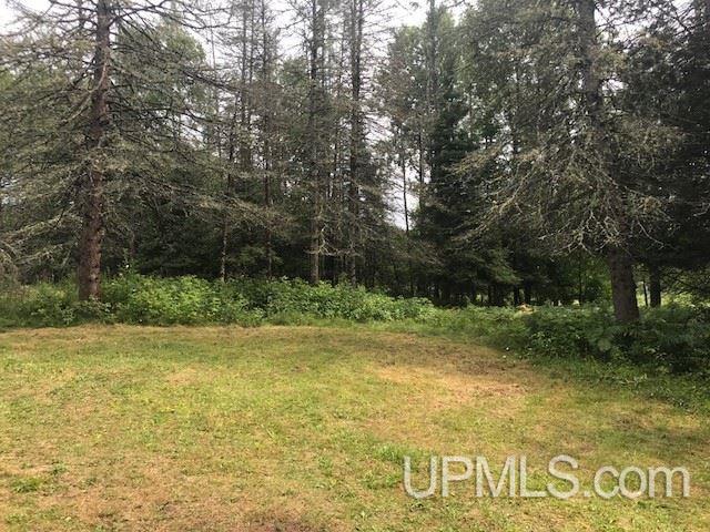 1810 Iron Lake Road Iron River, MI 49935 - Photo 24 of 32