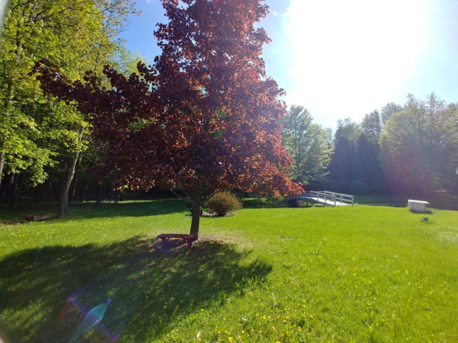8441 Rock Road Lake, MI 48632 - Photo 5 of 27 ROCK RD PICS (5)