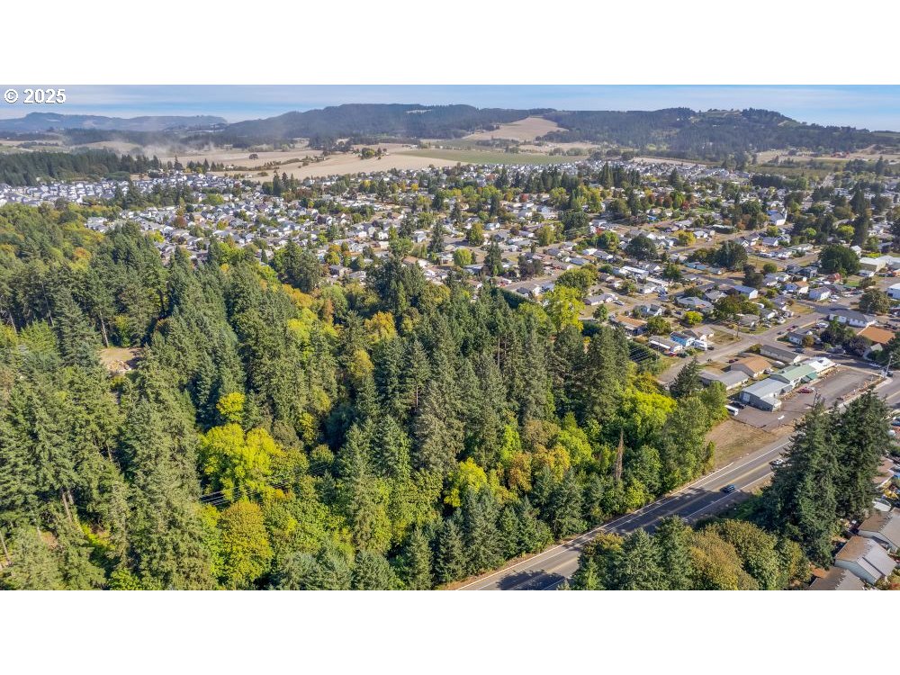215 West 5th Street Lafayette, OR 97127 - Photo 3 of 9 a view of a city