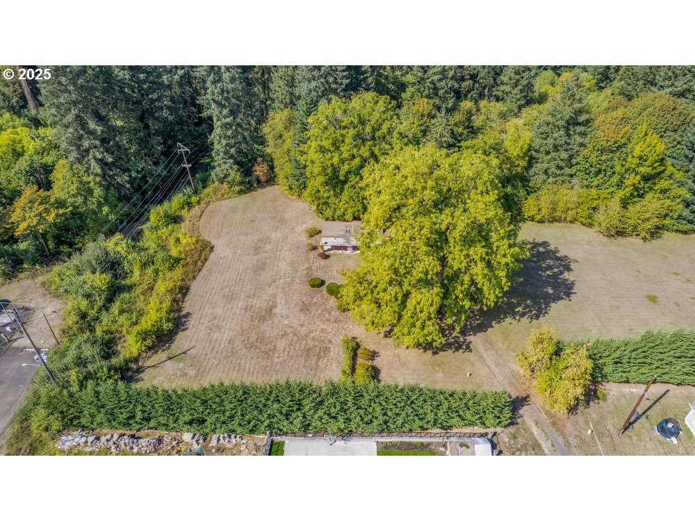 215 West 5th Street Lafayette, OR 97127 - Photo 8 of 9 a view of a garden