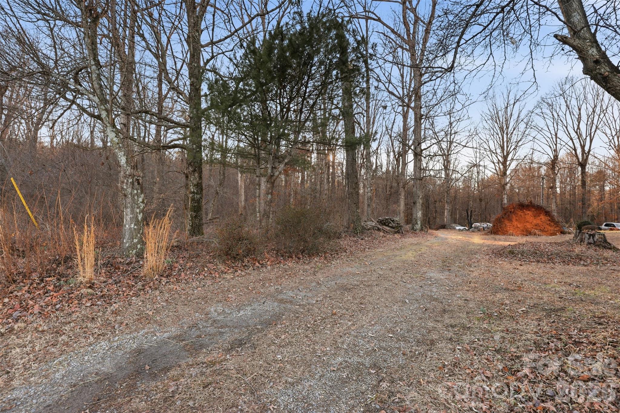 0 3 Forks Church Road Taylorsville, NC 28681 - Photo 16 of 23 a backyard of a house with trees