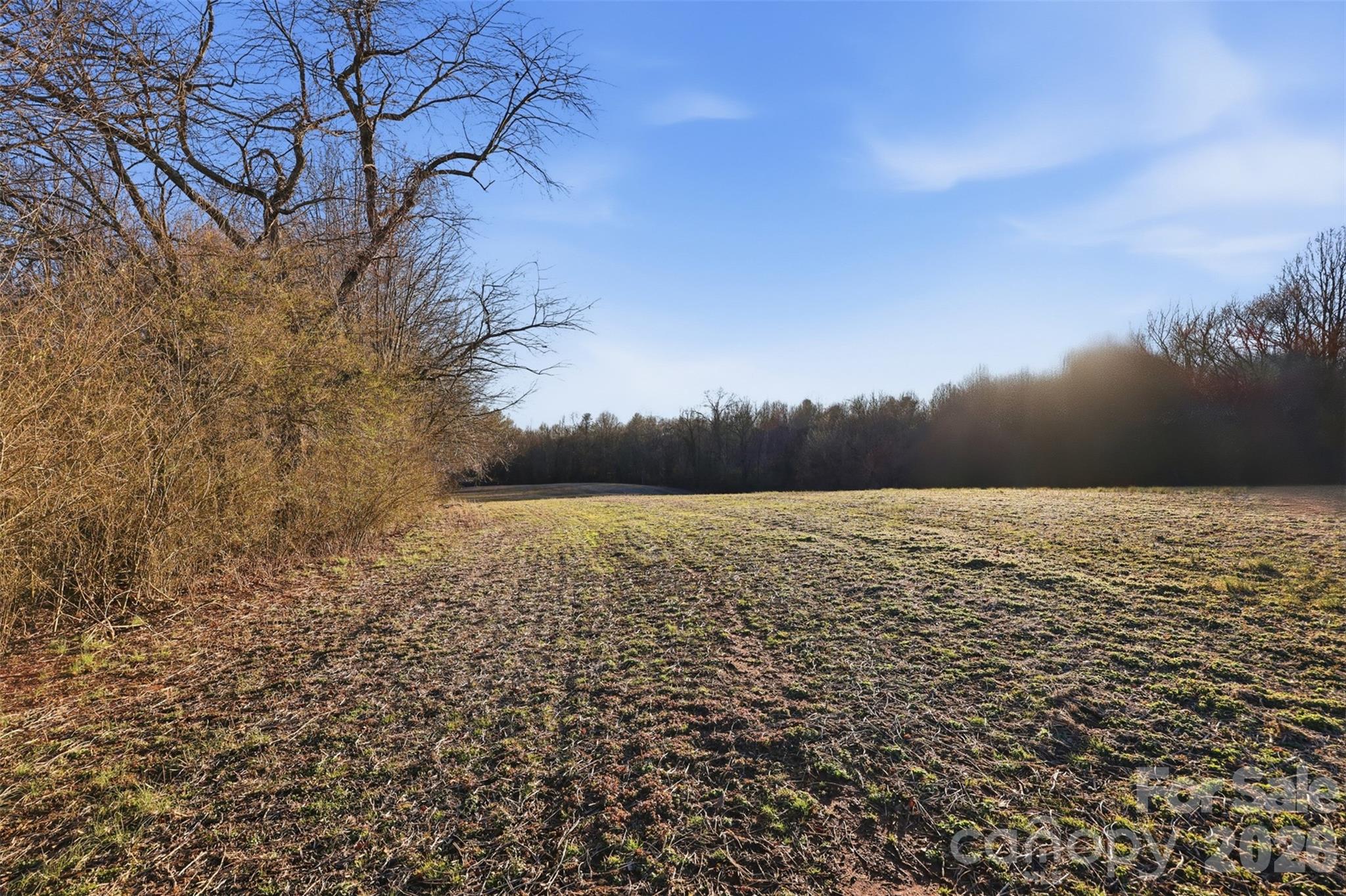 0 3 Forks Church Road Taylorsville, NC 28681 - Photo 22 of 23 a view of lake