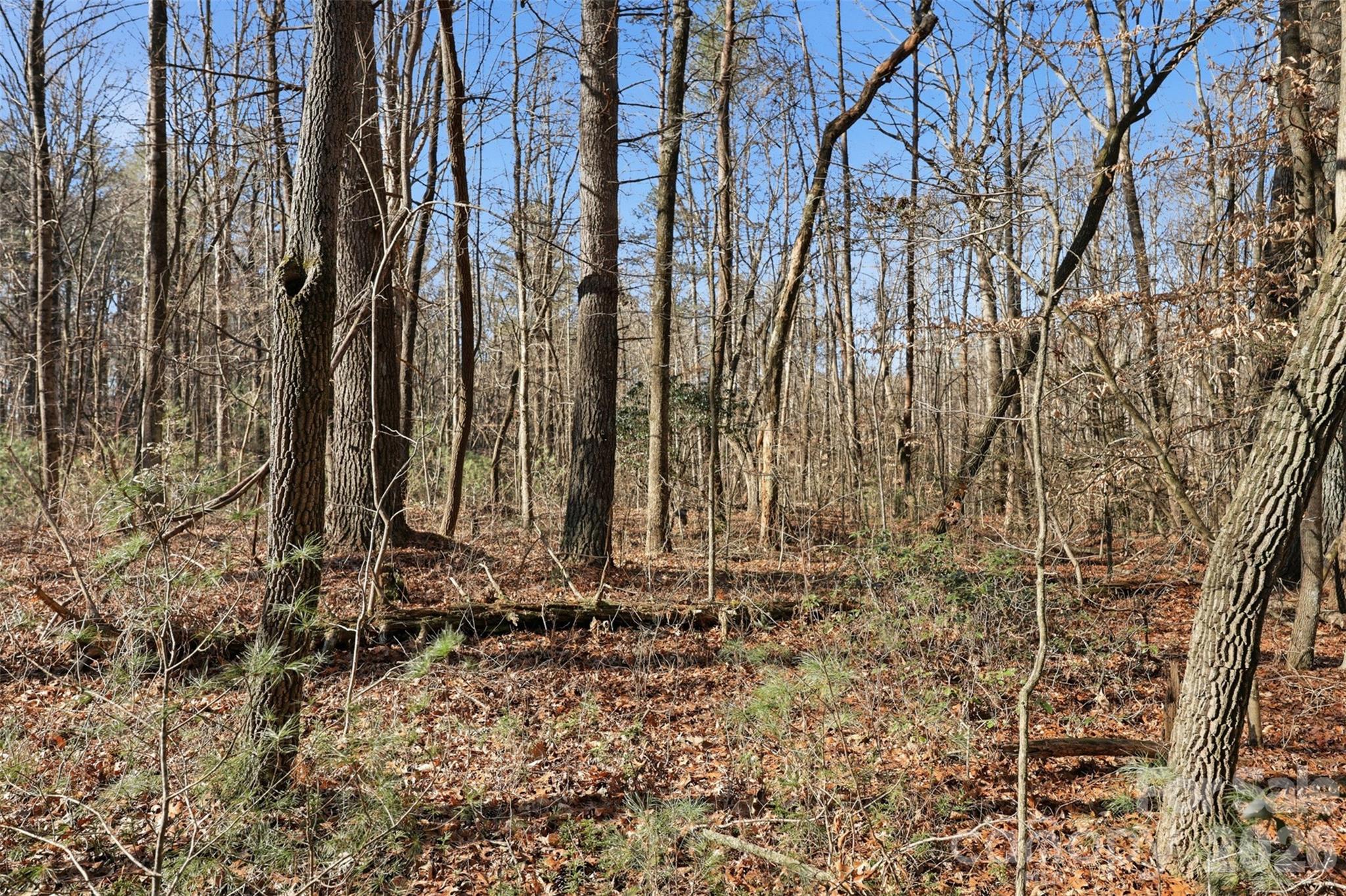 0 3 Forks Church Road Taylorsville, NC 28681 - Photo 10 of 23 a view of a backyard of the house