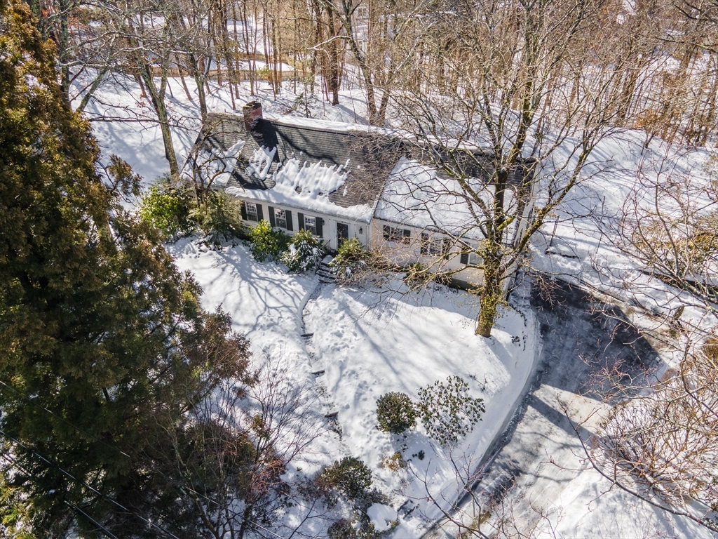 162 Hampshire Road Wellesley, MA 02481 - Photo 1 of 3