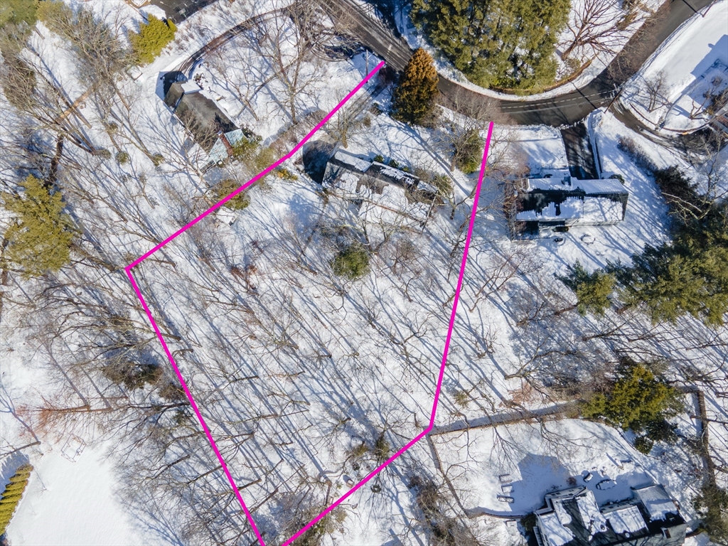 162 Hampshire Road Wellesley, MA 02481 - Photo 3 of 3