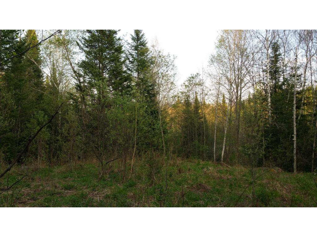 Lot 8.6 Faraway Road Dalton, NH 03598 - Photo 12 of 17 Gallery Image 12
