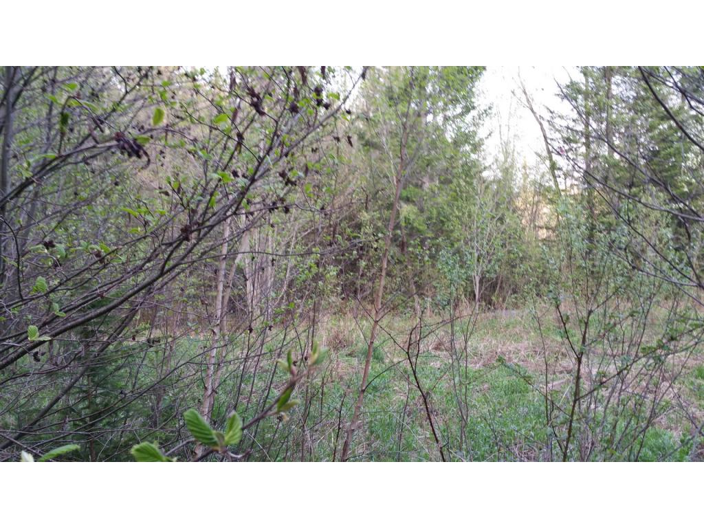 Lot 8.6 Faraway Road Dalton, NH 03598 - Photo 13 of 17 Gallery Image 13