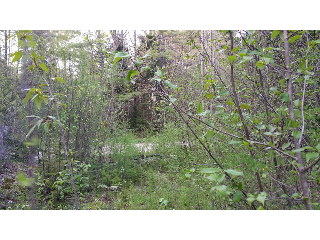 Lot 8.6 Faraway Road Dalton, NH 03598 - Photo 14 of 17 Gallery Image 14