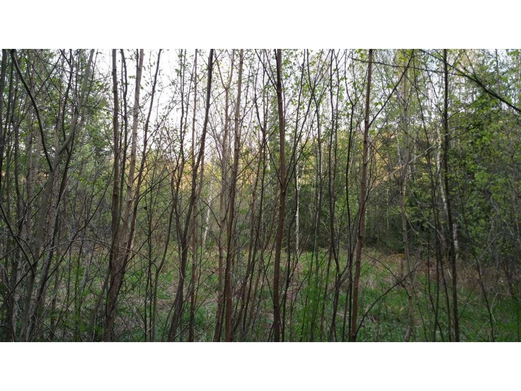 Lot 8.6 Faraway Road Dalton, NH 03598 - Photo 10 of 17 Gallery Image 10