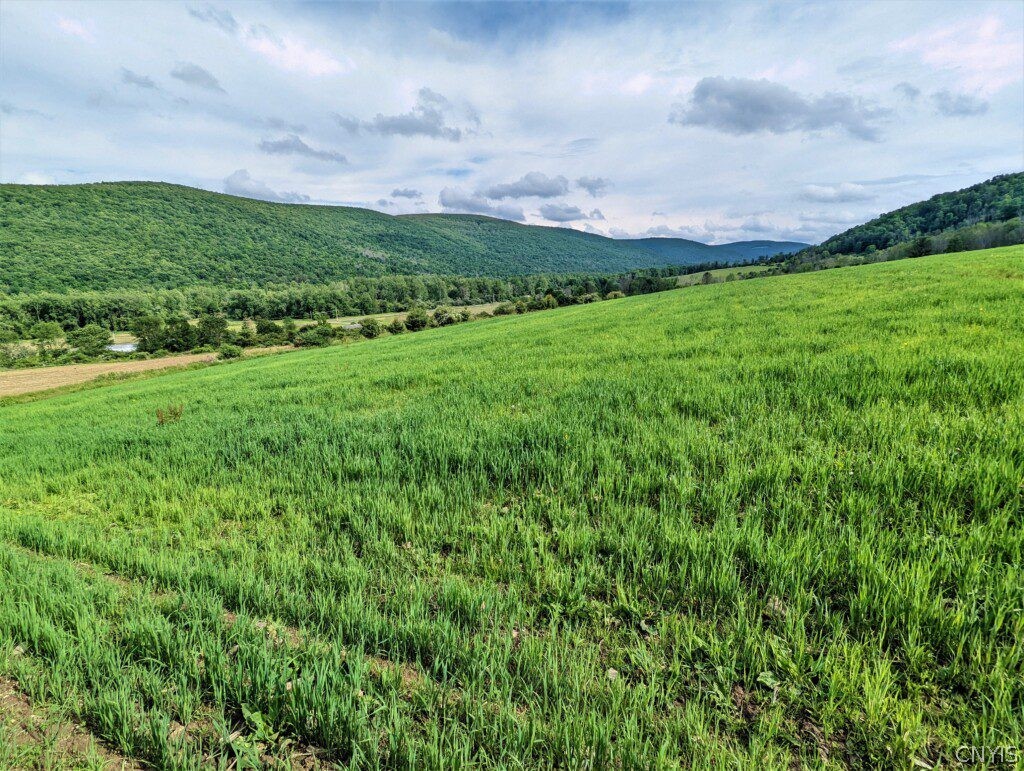 0 State Rte 248 Canisteo, NY 14823 - Photo 1 of 1 Gallery Image 1