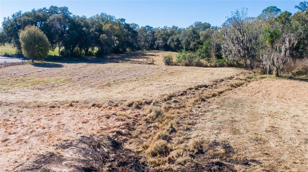 South Forbes Road Dover, FL 33527 - Photo 14 of 17 a view of a yard with trees