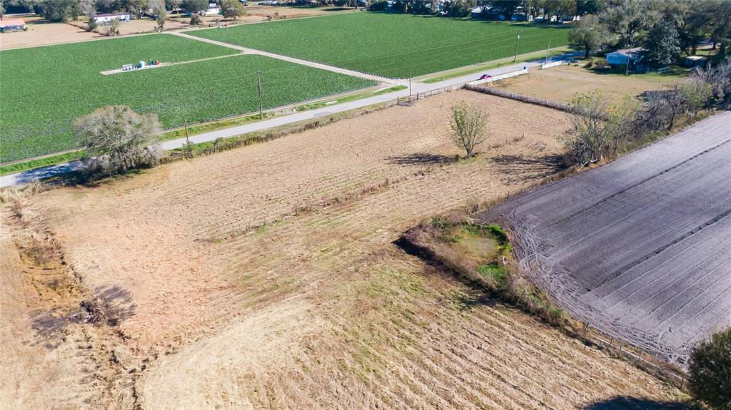 South Forbes Road Dover, FL 33527 - Photo 5 of 17 a view of a road with a yard