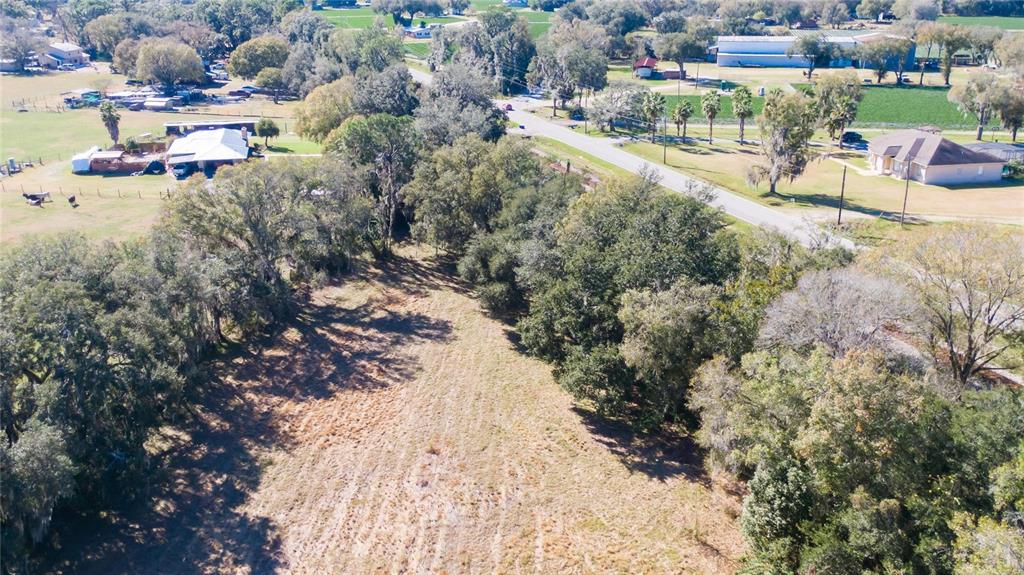 South Forbes Road Dover, FL 33527 - Photo 6 of 17 a view of swimming pool and lake view