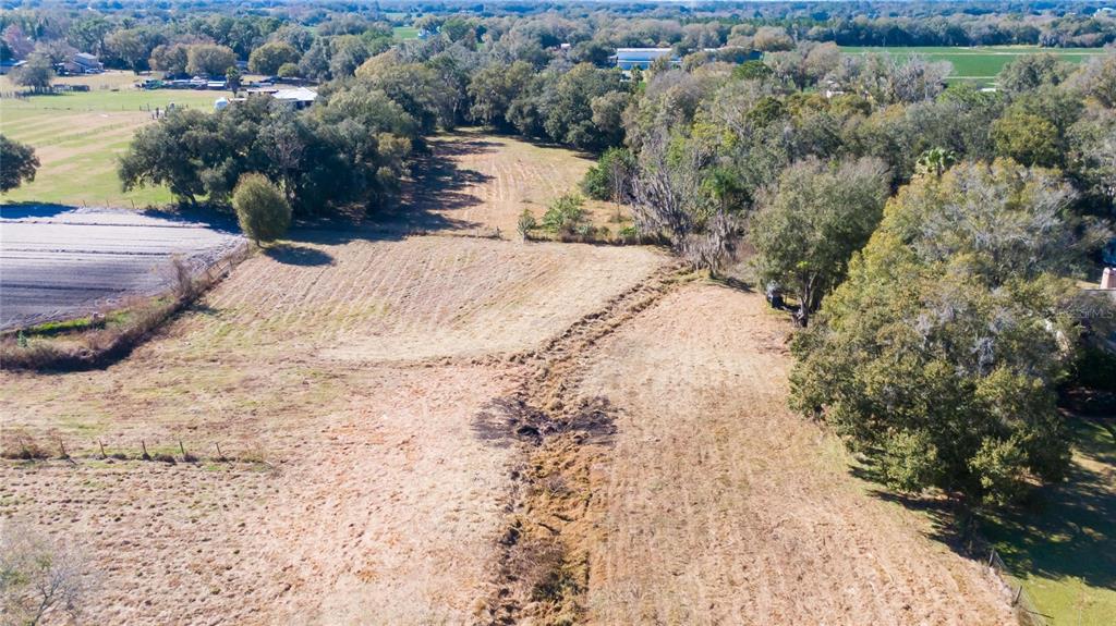 South Forbes Road Dover, FL 33527 - Photo 7 of 17 a view of a backyard of a house
