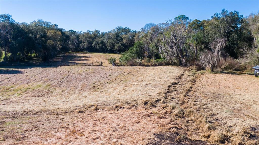 South Forbes Road Dover, FL 33527 - Photo 10 of 17 a view of empty space with trees
