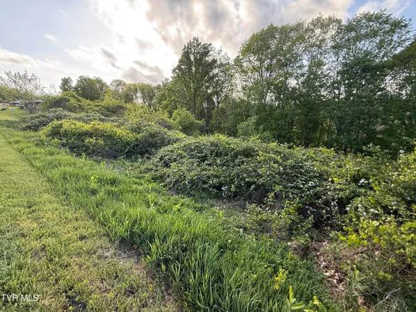 $6,800 | 0 Gibson Road, Unit 1216, Nickelsville, VA 24271