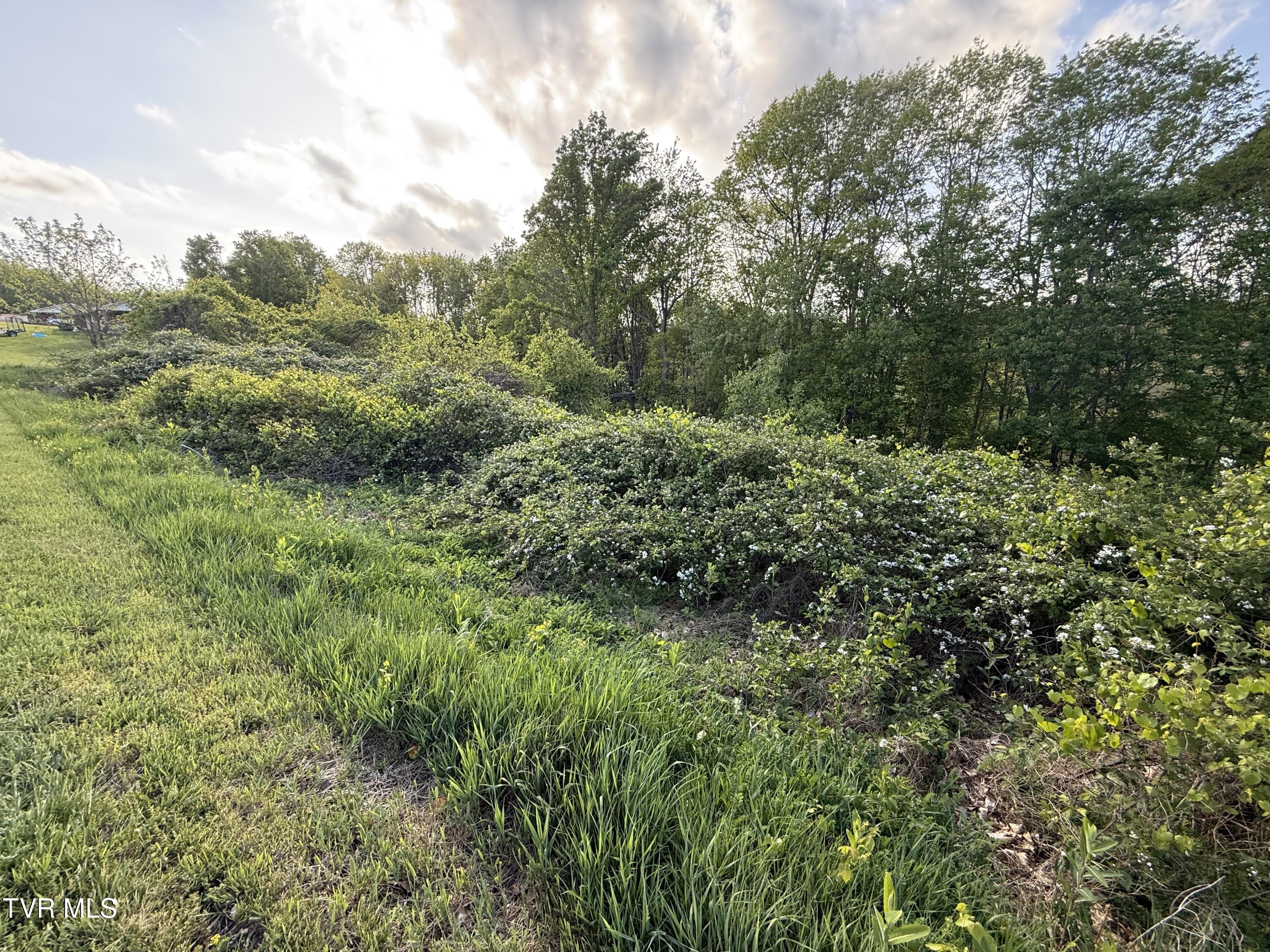 0 Gibson Road, Unit 1216 Nickelsville, VA 24271 - Photo 1 of 13 IMG_5239