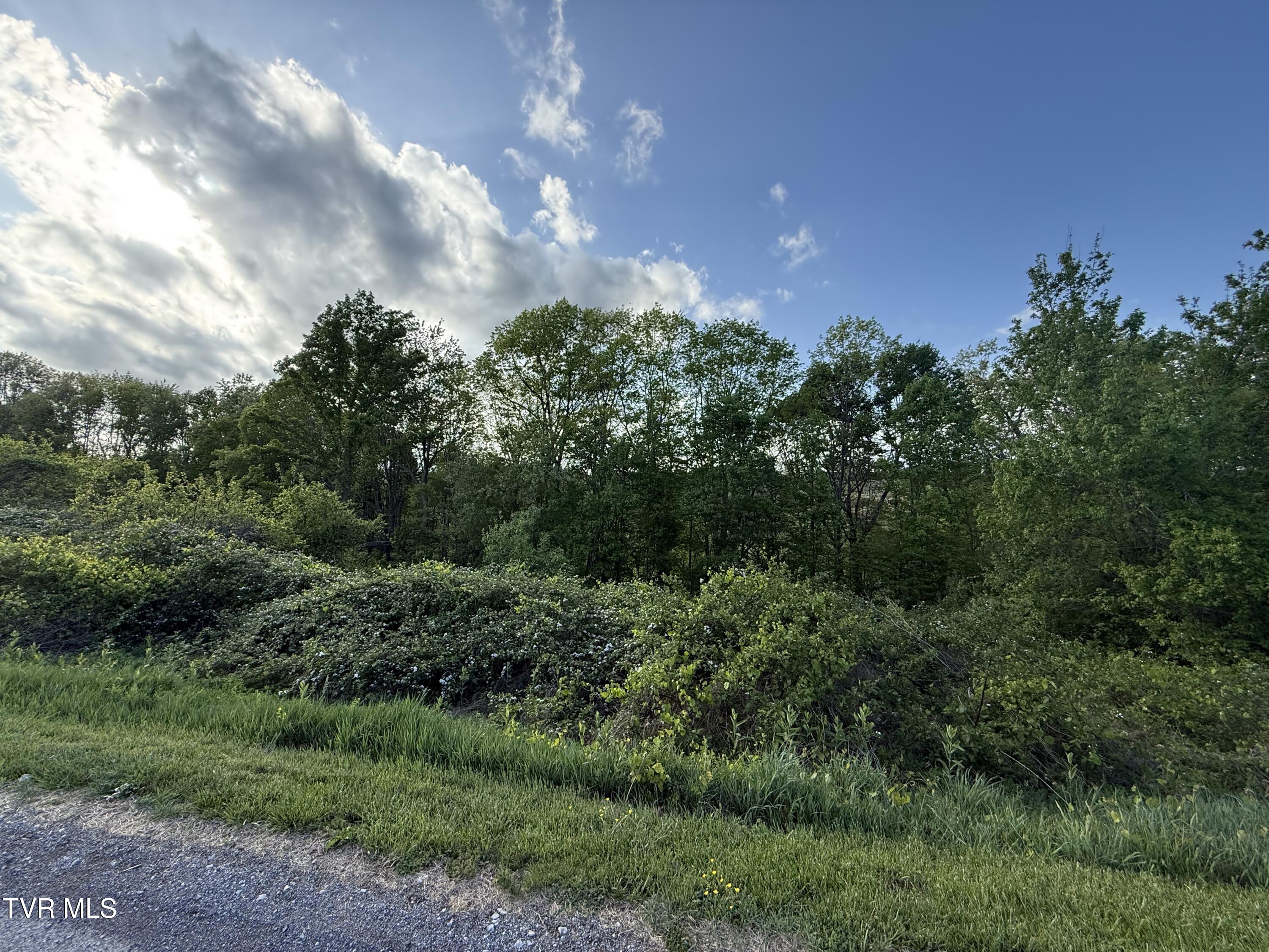 0 Gibson Road, Unit 1216 Nickelsville, VA 24271 - Photo 4 of 13 IMG_5235