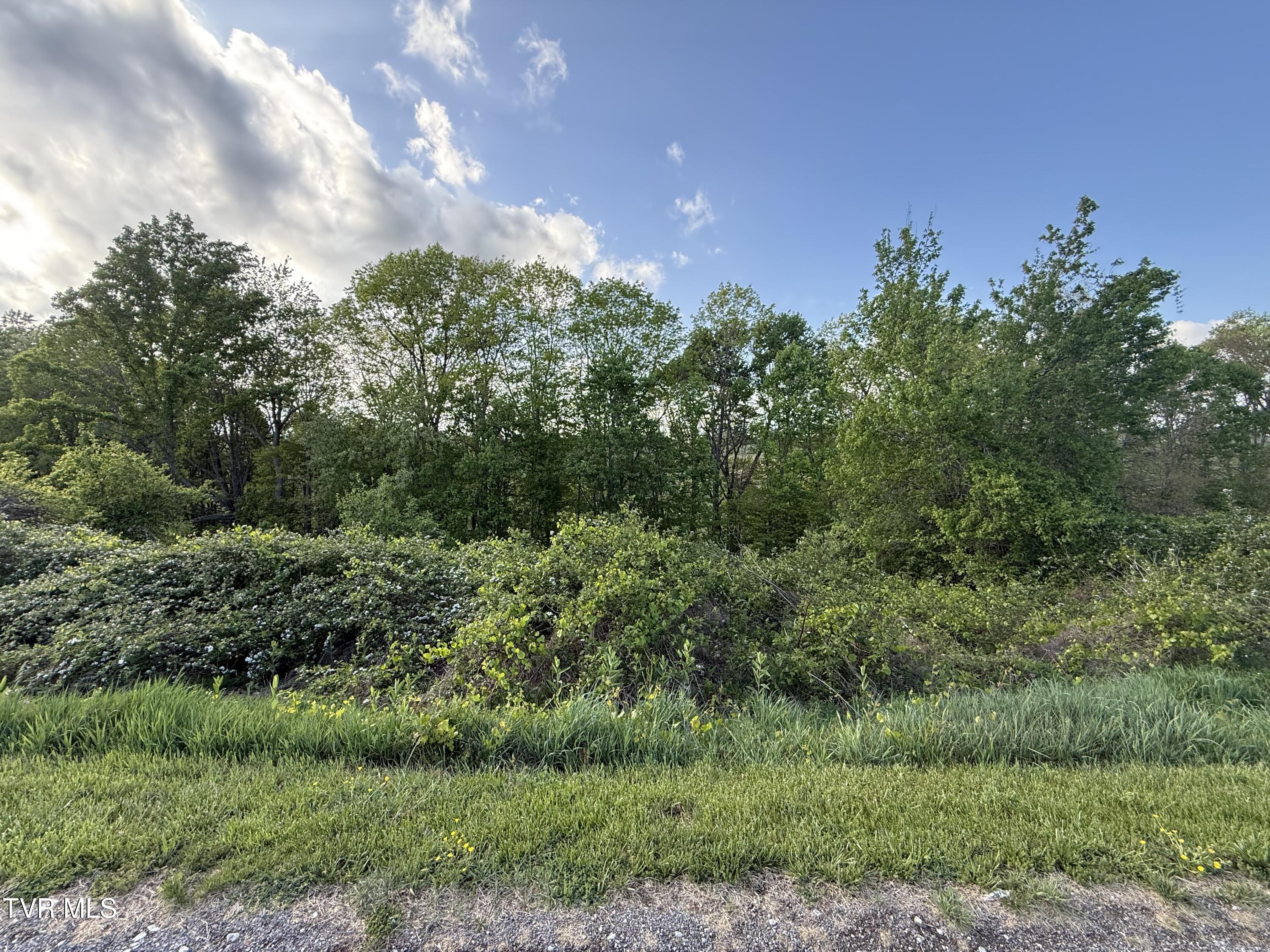 0 Gibson Road, Unit 1216 Nickelsville, VA 24271 - Photo 5 of 13 IMG_5236