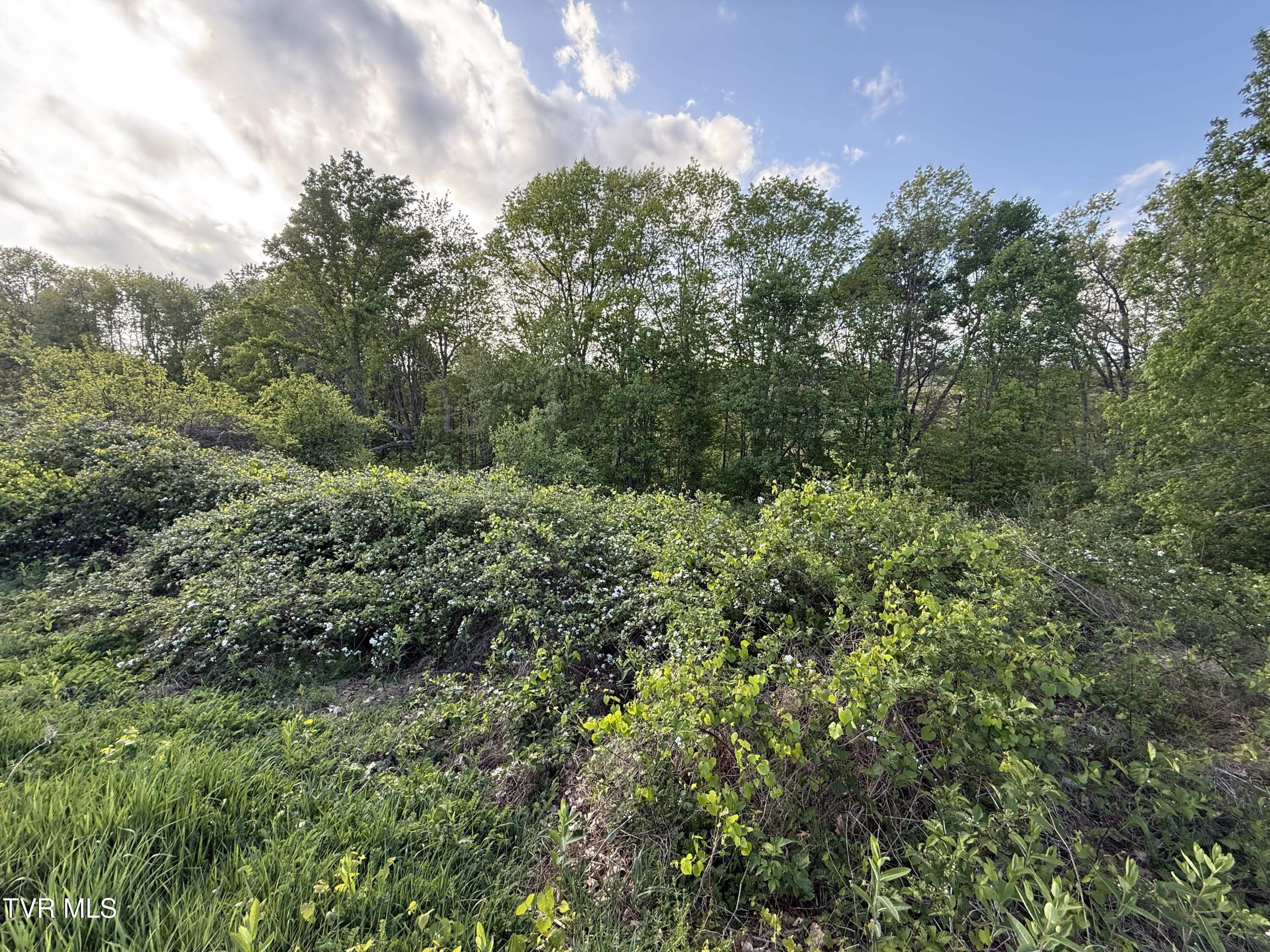 0 Gibson Road, Unit 1216 Nickelsville, VA 24271 - Photo 6 of 13 IMG_5237