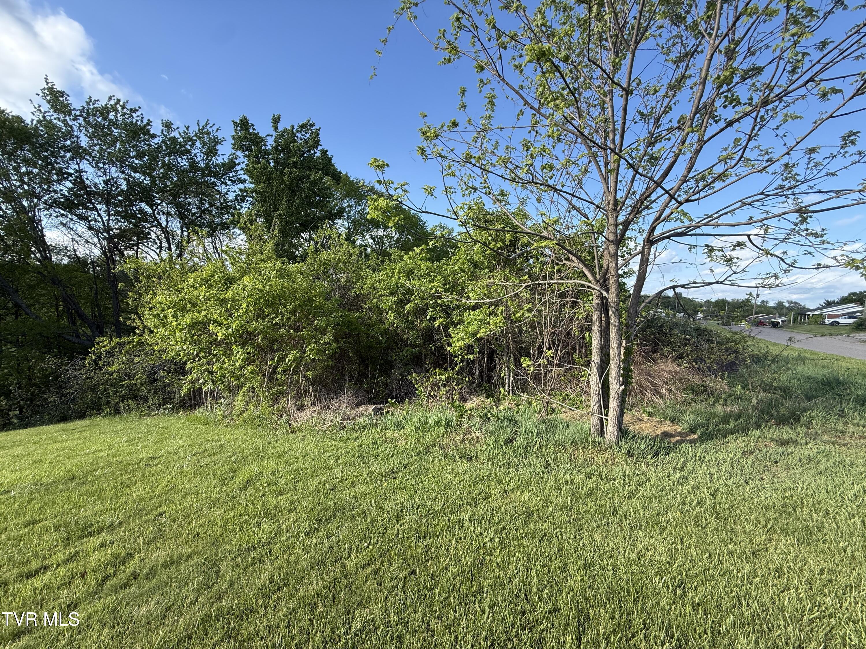 0 Gibson Road, Unit 1216 Nickelsville, VA 24271 - Photo 9 of 13 IMG_5241
